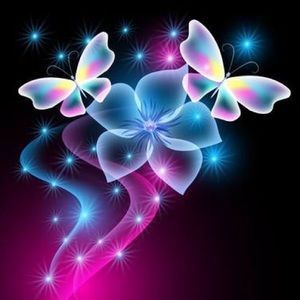 Meet your Posher, Eileen